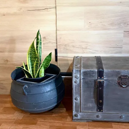 Ocean Hill House 公寓 圣克鲁斯